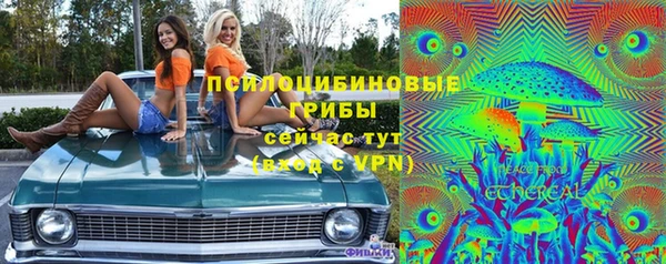 экстази Новодвинск