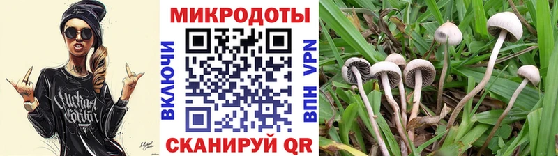 Галлюциногенные грибы Psilocybine cubensis  купить наркоту  Алупка 